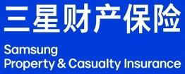 삼성화재 중국
